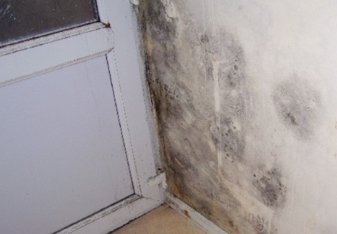 A plain, white wall showing mould growth by a PVC door.